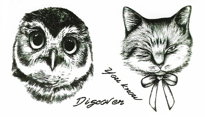 tatouage éphémère chouette et chat
